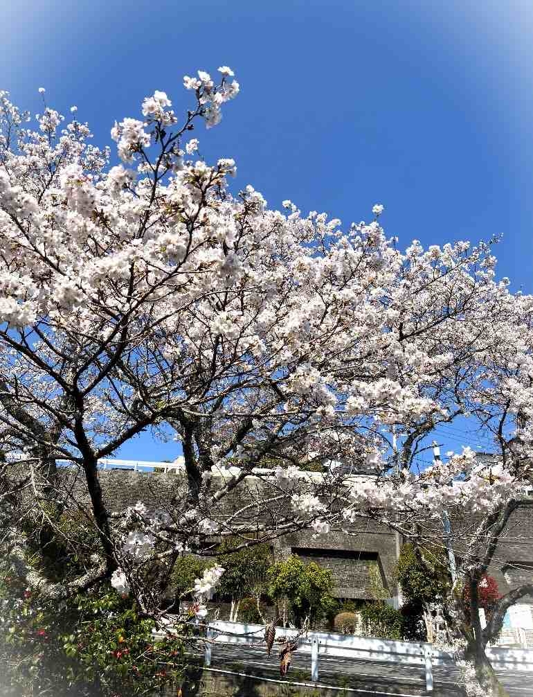 ブログ｜みなみ在宅クリニック