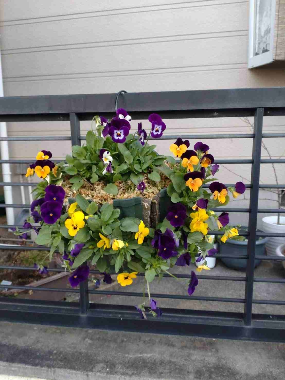 ブログ｜みなみ在宅クリニック